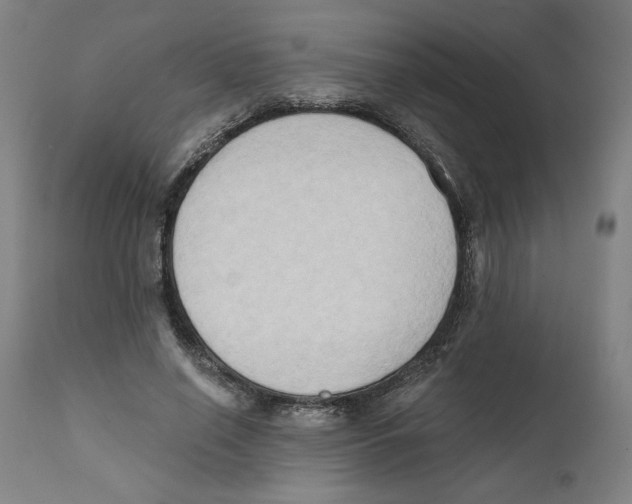 X0000111520638200908111203