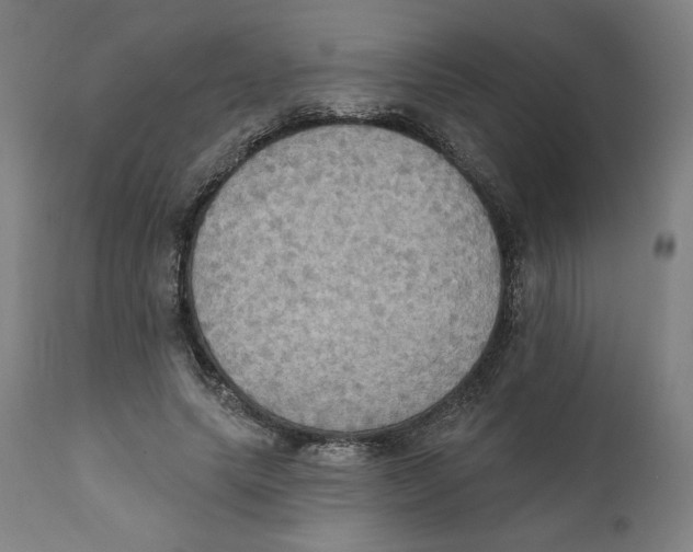 X0000111520639200908111203