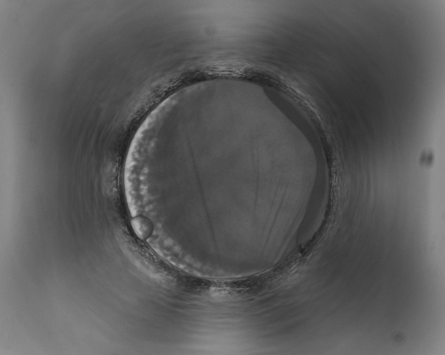 X0000111520641200908111203