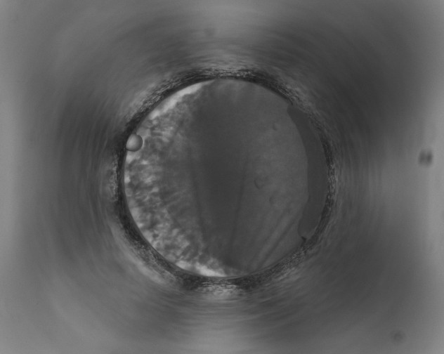 X0000111520642200908111203