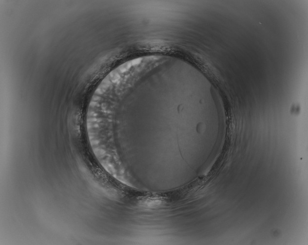X0000111520643200908111203