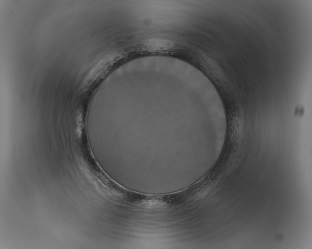 X0000111520644200908111203