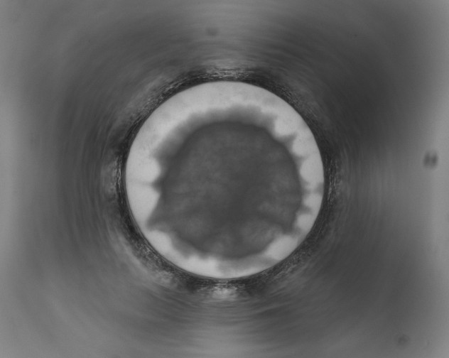 X0000111520647200908111203