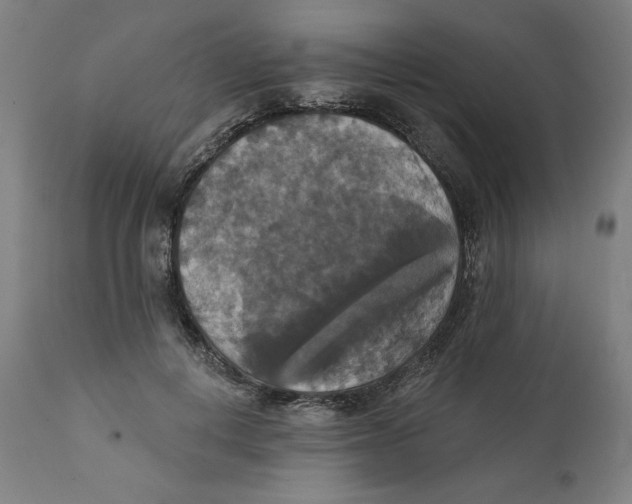 X0000111520648200908111203