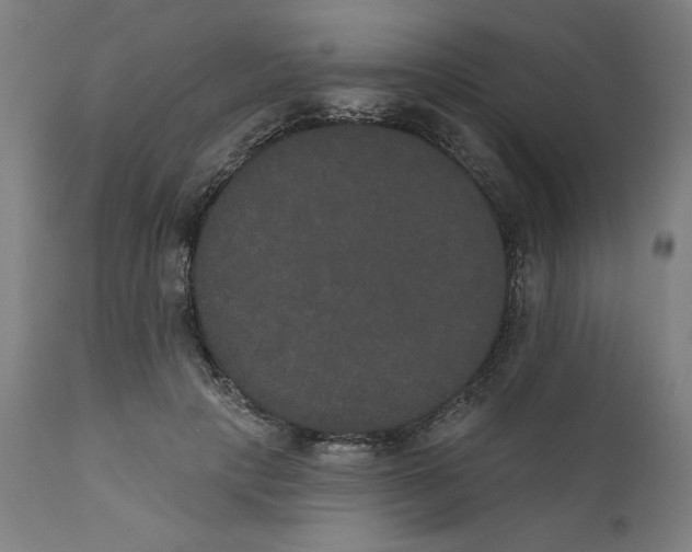 X0000111520649200908111203