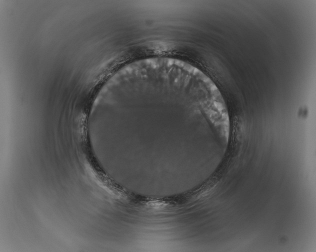 X0000111520650200908111203