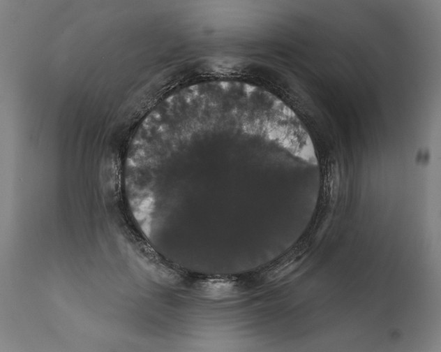 X0000111520651200908111203