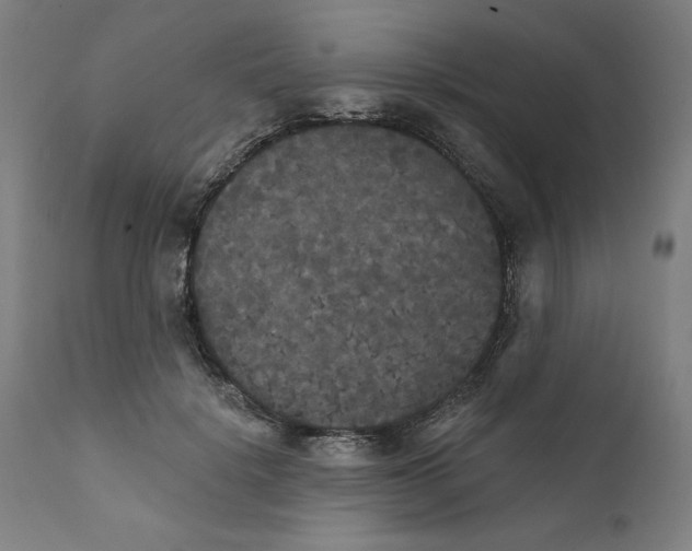 X0000111520652200908111203