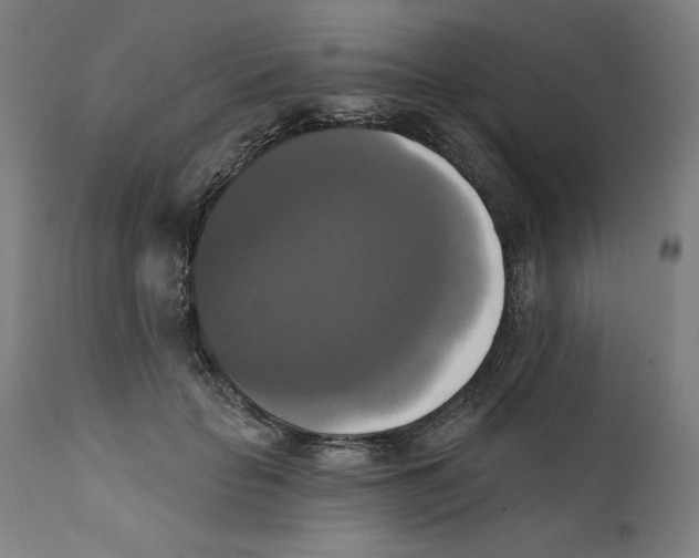 X0000111520653200908111203