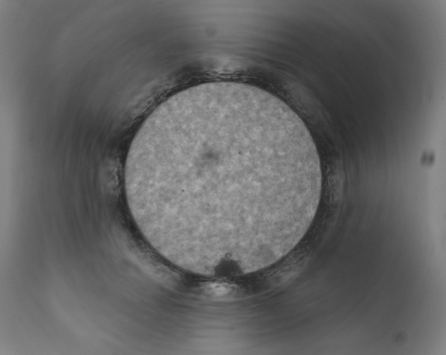 X0000111520654200908111203