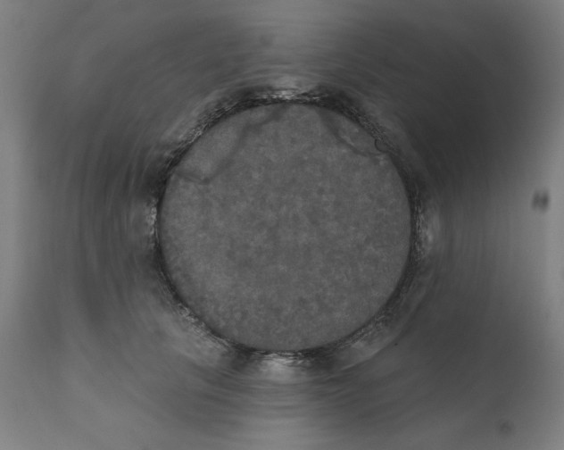 X0000111520657200908111203
