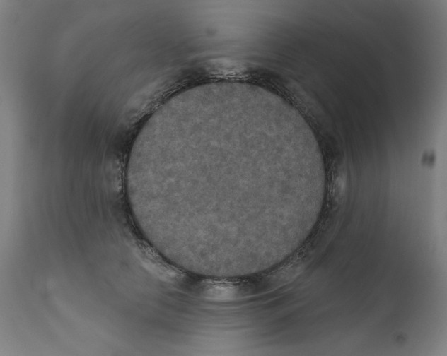X0000111520658200908111203