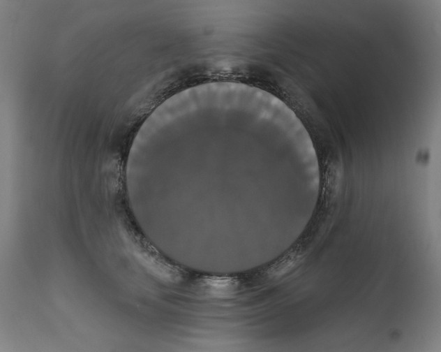 X0000111520659200908111203