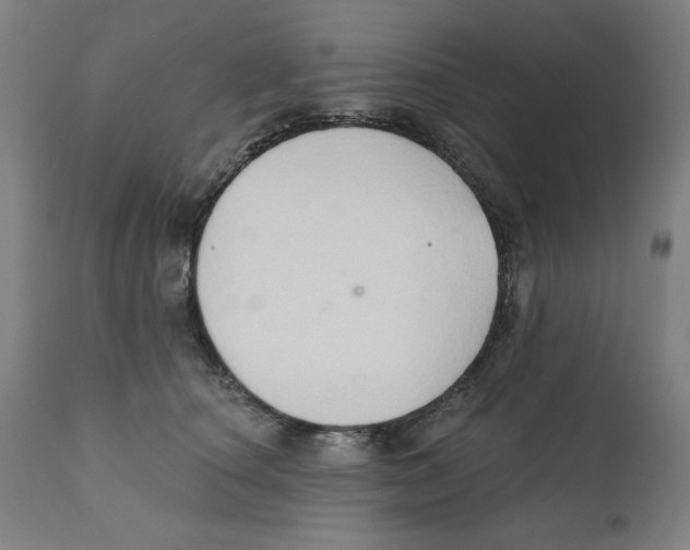 X0000111520660200908111203