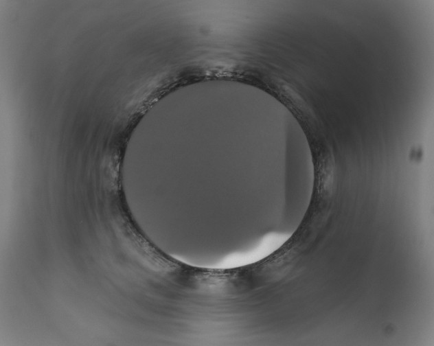 X0000111520661200908111203