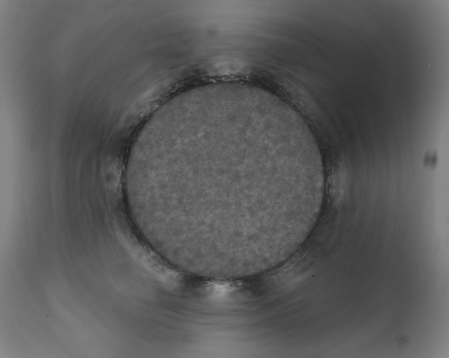 X0000111520662200908111203
