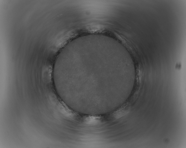 X0000111520664200908111203