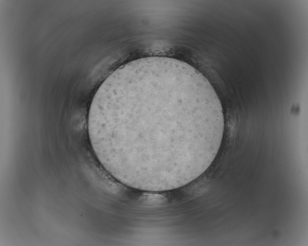 X0000111520665200908111203