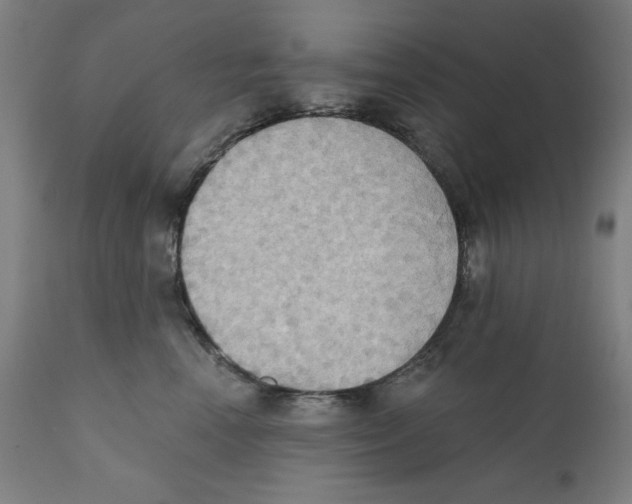 X0000111520666200908111203