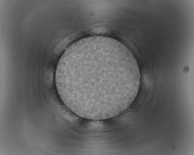 X0000111520668200908111203