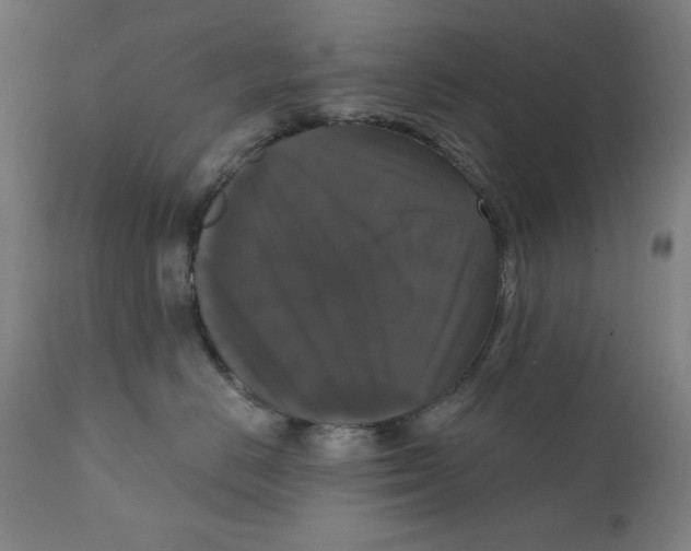 X0000111520670200908111204