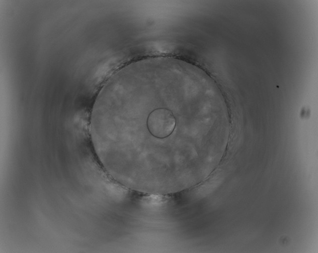 X0000111520672200908111204