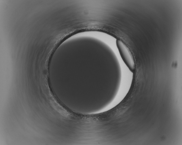 X0000111520673200908111203