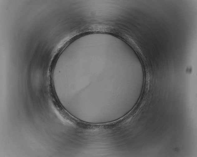 X0000111520674200908111203