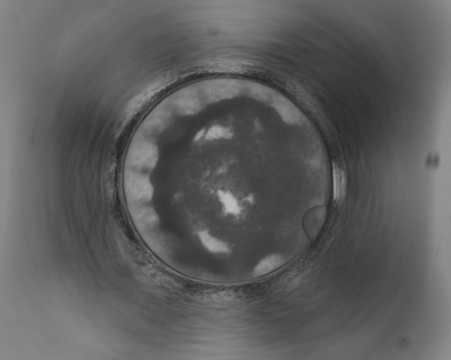 X0000111520675200908111203