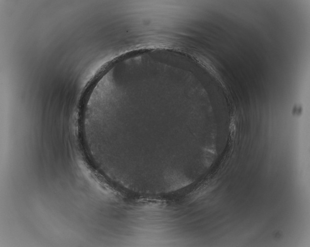 X0000111520676200908111203