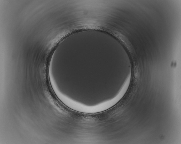 X0000111520677200908111203