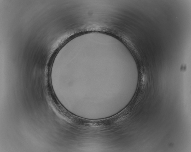 X0000111520678200908111203