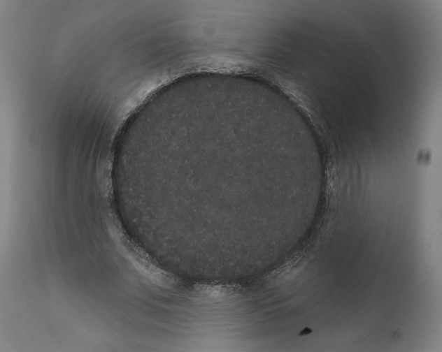 X0000111520679200908111203
