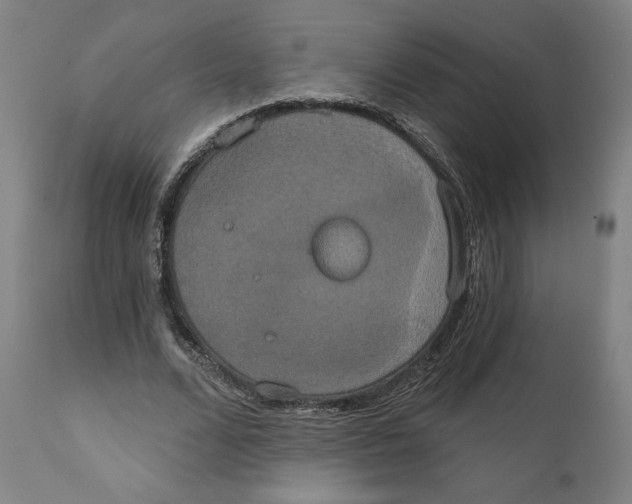 X0000111520680200908111203