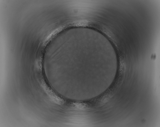 X0000111520681200908111203