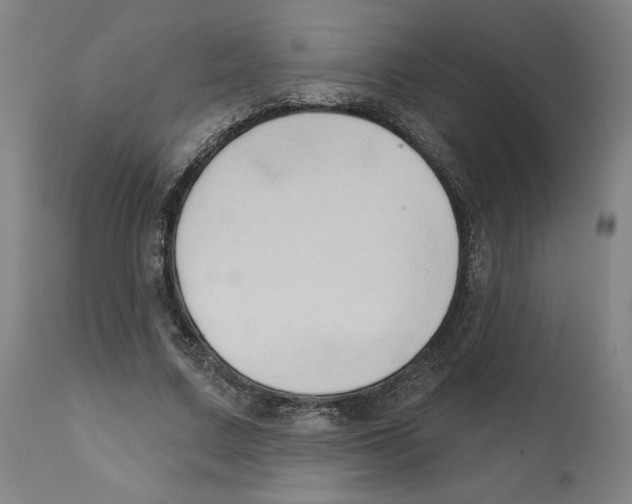 X0000111520683200908111203