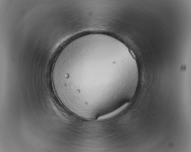 X0000111520684200908111203