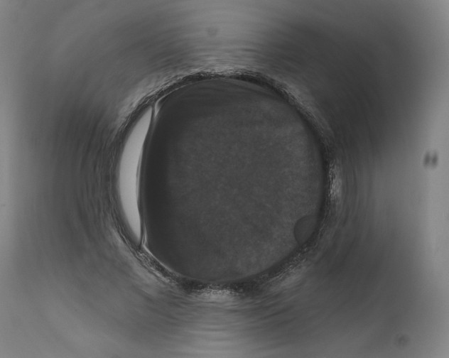 X0000111520685200908111203