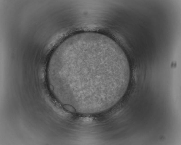 X0000111520687200908111203