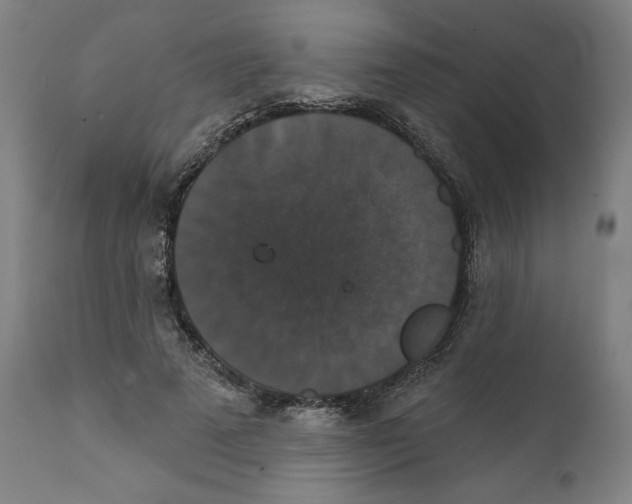 X0000111520689200908111203