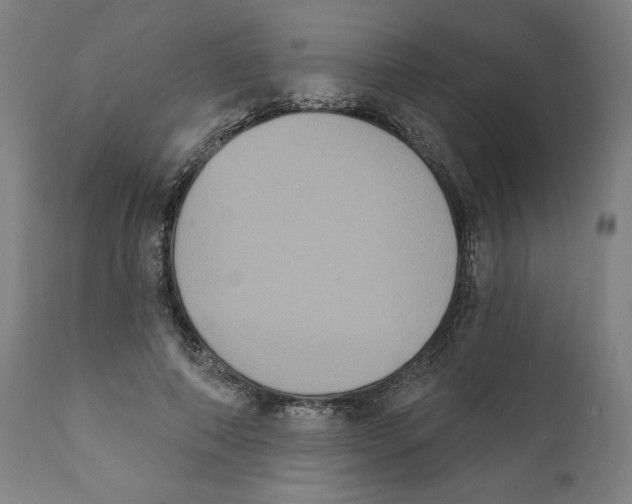 X0000111520690200908111203