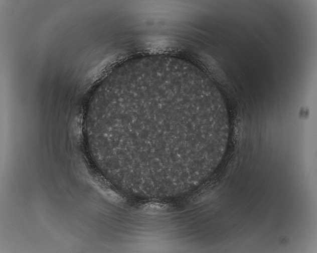 X0000111520691200908111203