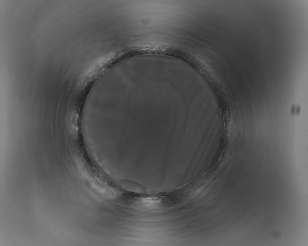 X0000111520692200908111203