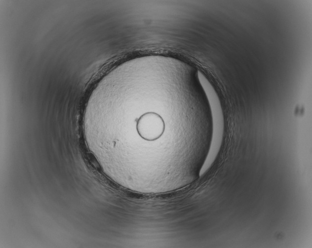 X0000111520693200908111203