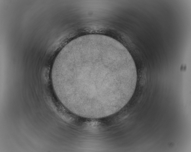X0000111520695200908111203