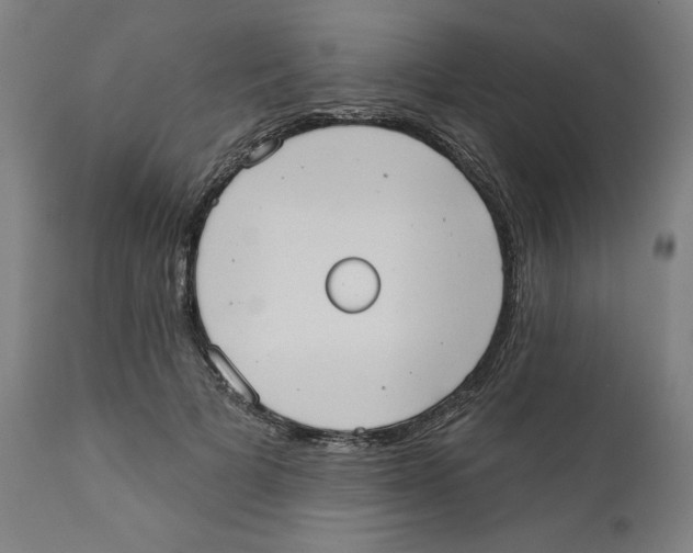 X0000111520697200908111203