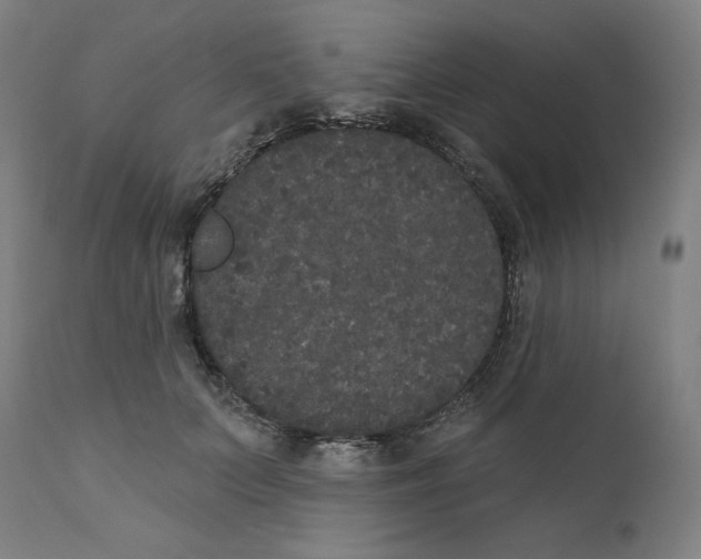 X0000111520703200908111202