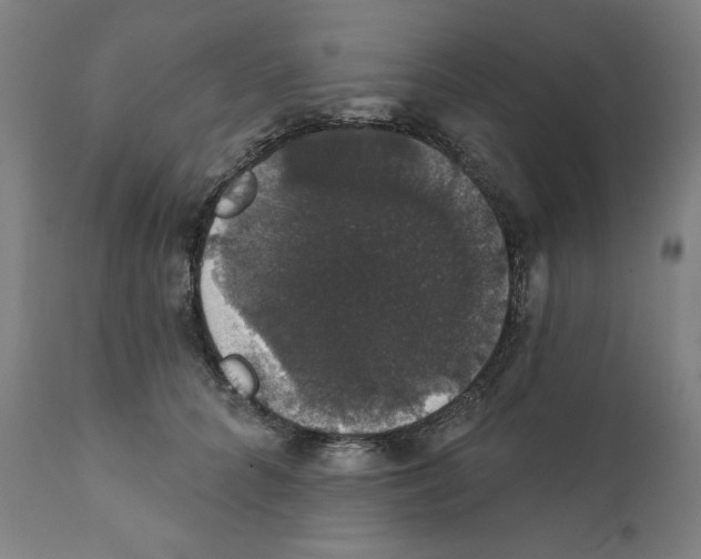 X0000111520704200908111202