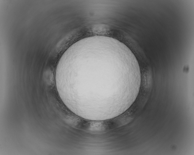 X0000111520705200908111202