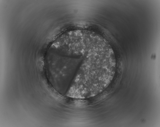 X0000111520707200908111202
